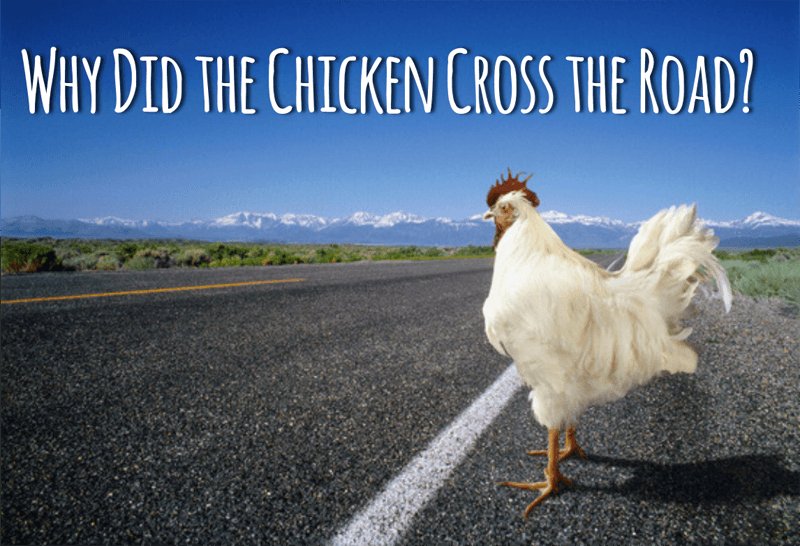 Spain - chicken road